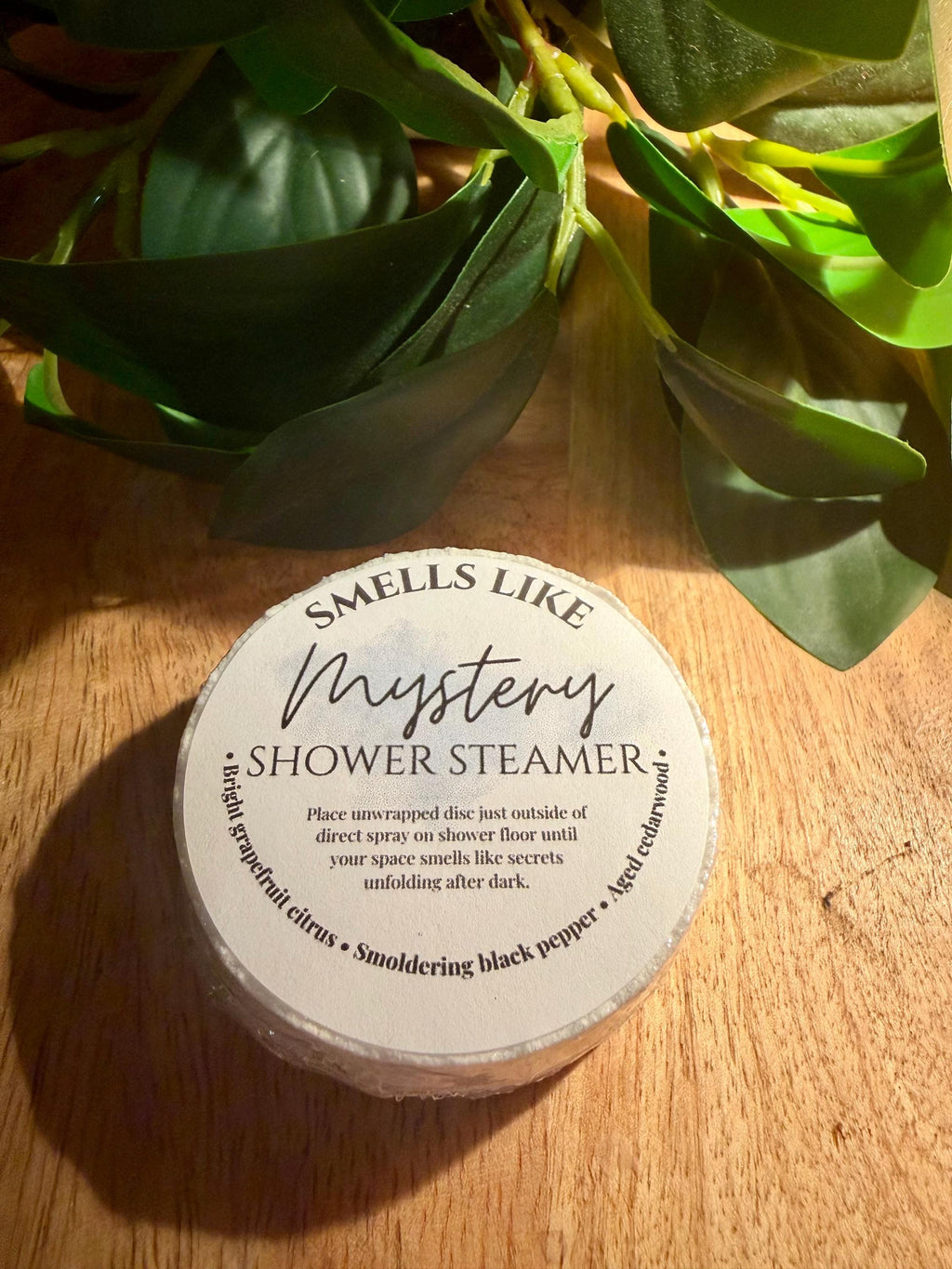 Bookish Shower Steamers | Fantasy Romance Aromatherapy Blends