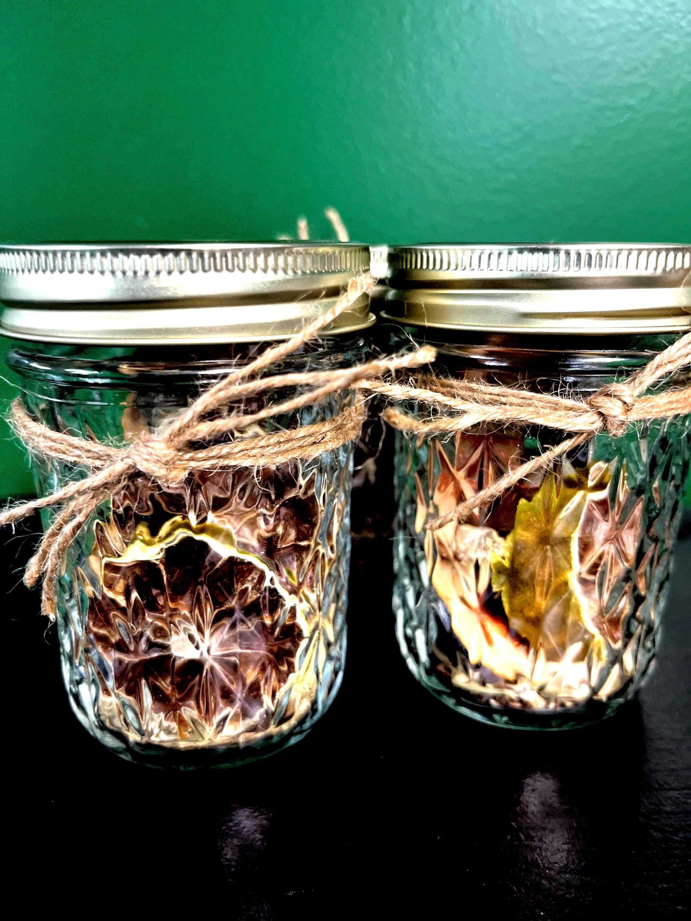 Bookish Simmer Pot | Reader Home Fragrance Blend