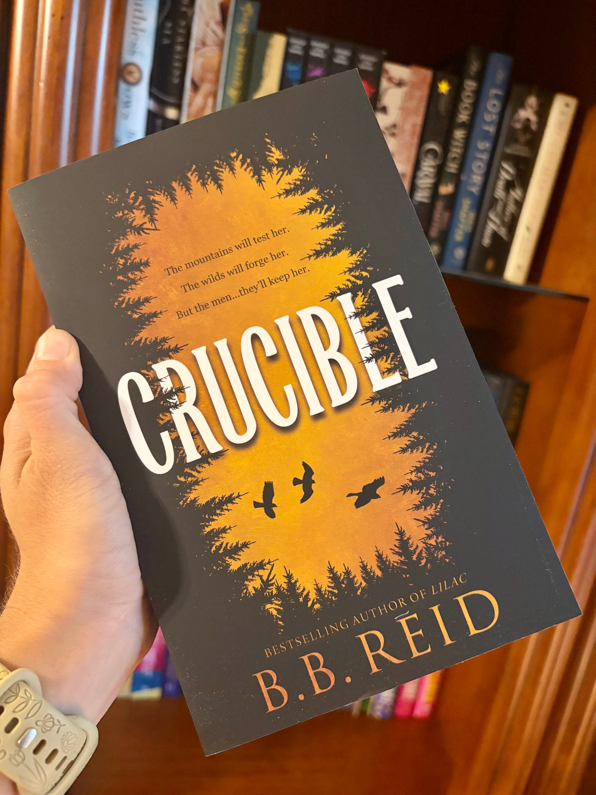Book | Crucible by B.B. Reid