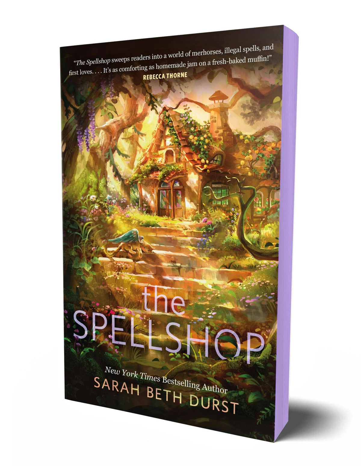 Book | the Spellshop by Sarah Beth Durst