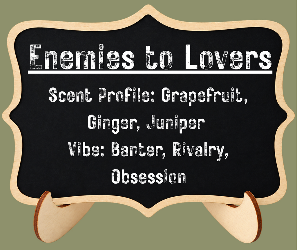 Bookish Simmer Pot | Enemies to Lovers